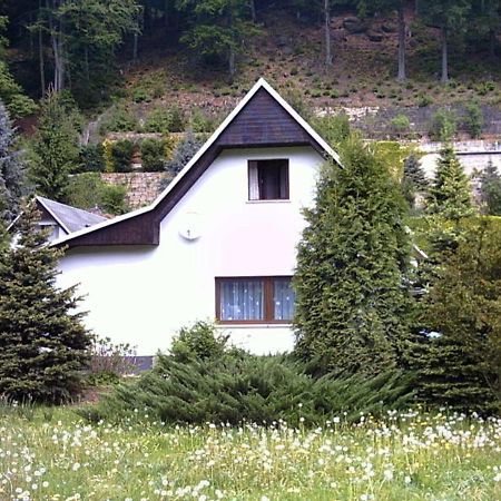 Ferienhaus Greti Stadt Wehlen Exterior foto